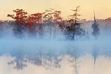 Misty Lake Martin At Sunrise_25742